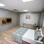 Hotel Lion Kizilay 3*