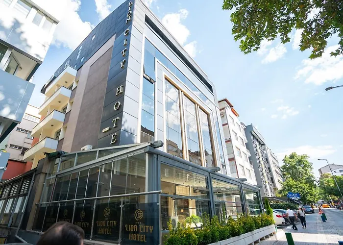 Lion Kizilay 3* アンカラ