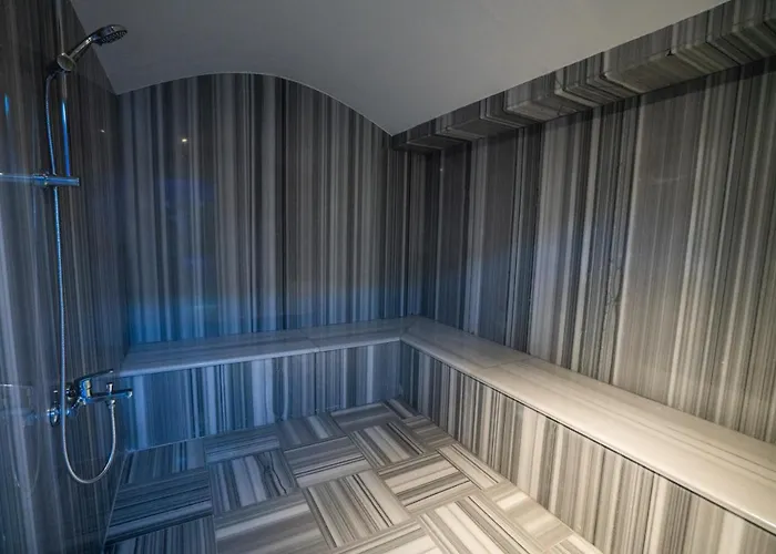 فندق Lion Kizilay أنقرة