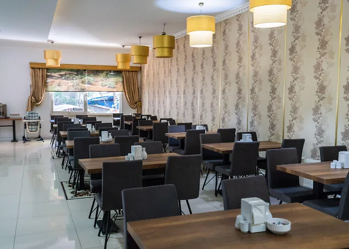 Hotel Lion Kizilay Ankara