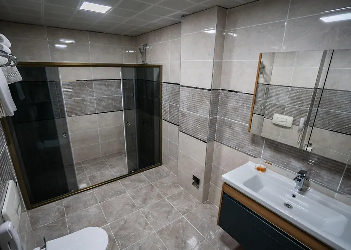 Hotel Lion Kizilay Ankara