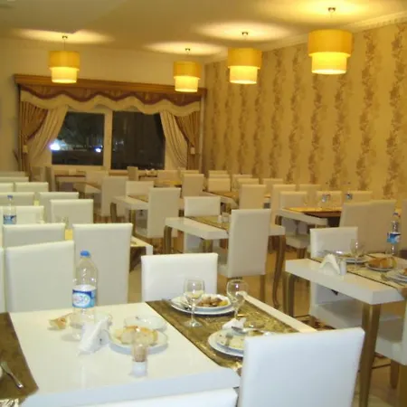 Lion Kizilay 酒店 安卡拉